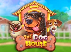 Dog House